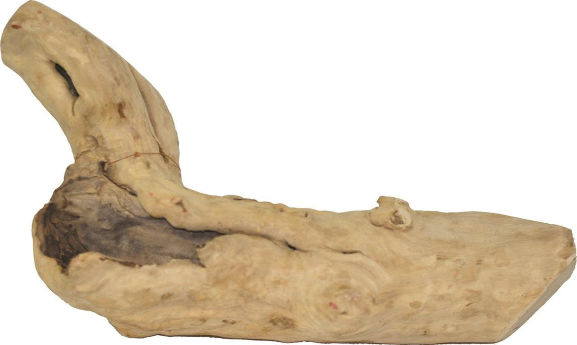 JAVA WOOD REPTILE BRANCH