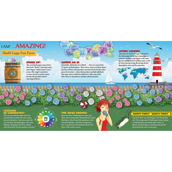 I AM HYDRANGEA Puzzle 350 pcs