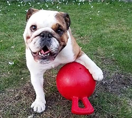 JOLLY PETS TUG-N-TOSS BALL