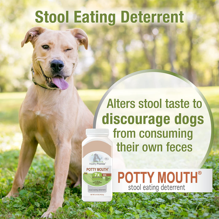 HEALTHY PROMISE POTTY MOUTH TABLET