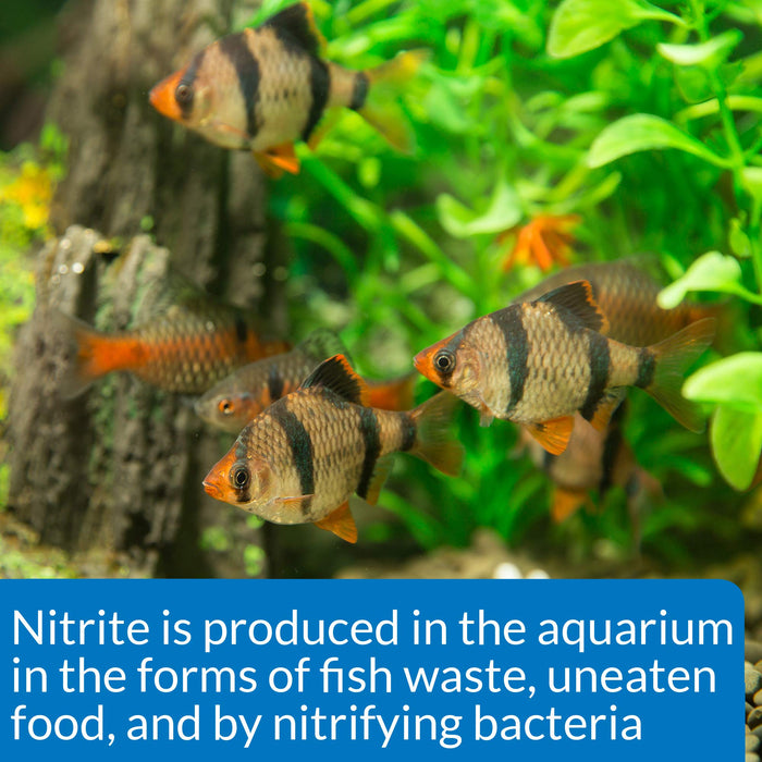 API NITRITE TEST KIT FOR FRESH & SALTWATER