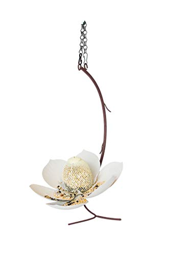Desert Steel Coneflower Bird Feeder