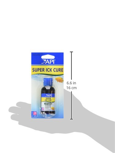 API LIQUID SUPER ICK CURE