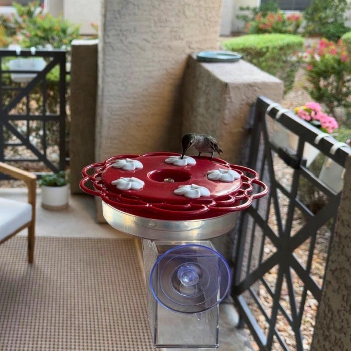2-N-1 PLASTIC DISH HUMMINGBIRD FEEDER