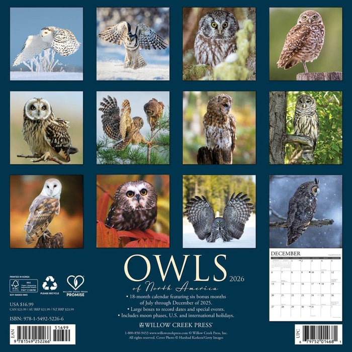 Willow Creek Press Owls 2026 Calendar