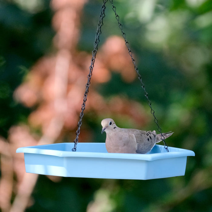 ECOCYCLE COMBO CAFE 2-N-1 BIRD FEEDER & BIRD BATH