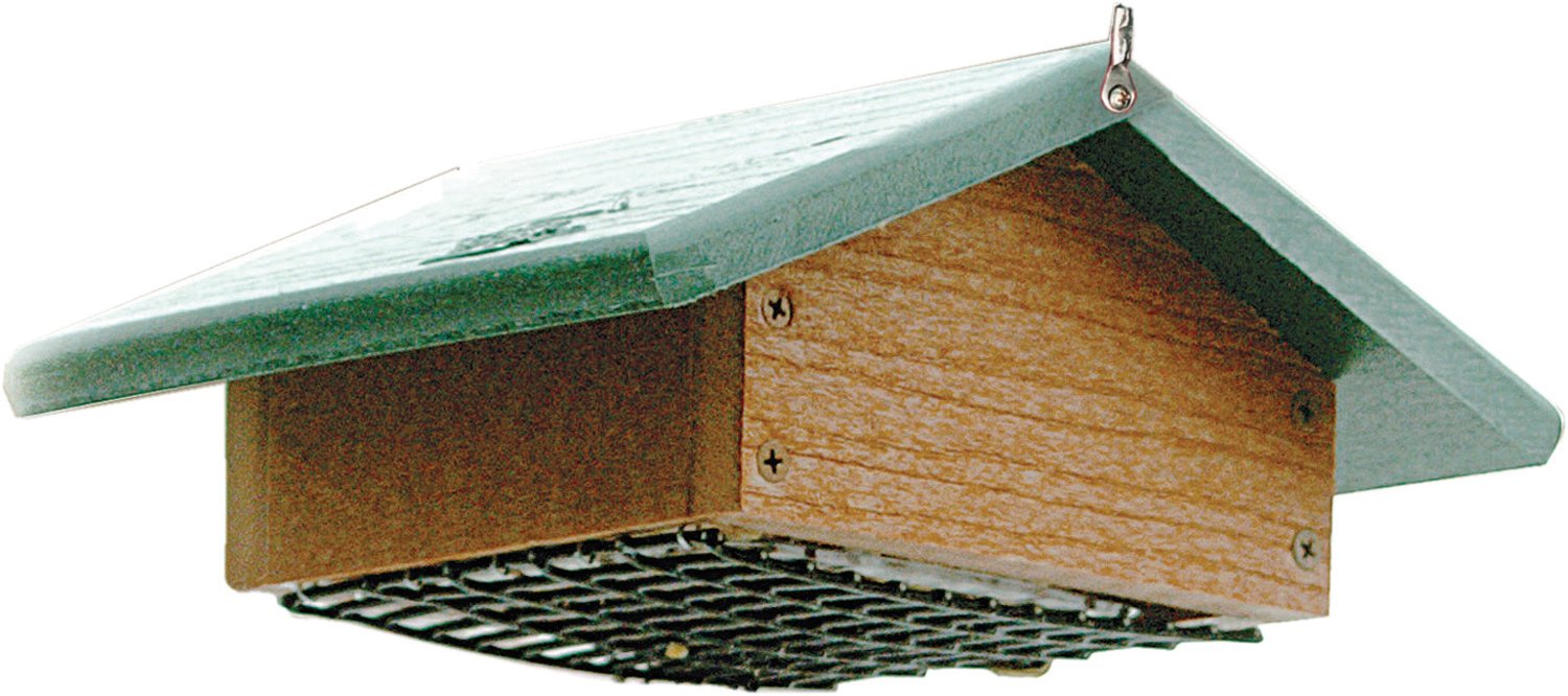 Audubon Going Green Suet Bottom Feed