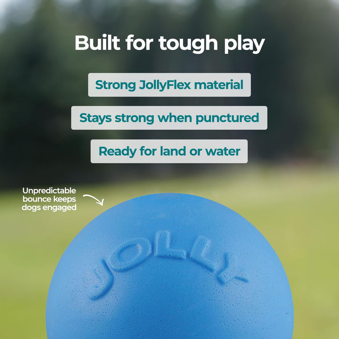 JOLLY PETS BOUNCE-N-PLAY BALL