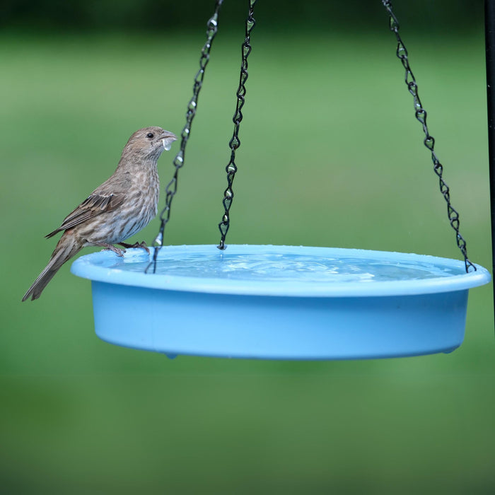 ECOCYCLE COMBO CAFE 2-N-1 BIRD FEEDER & BIRD BATH