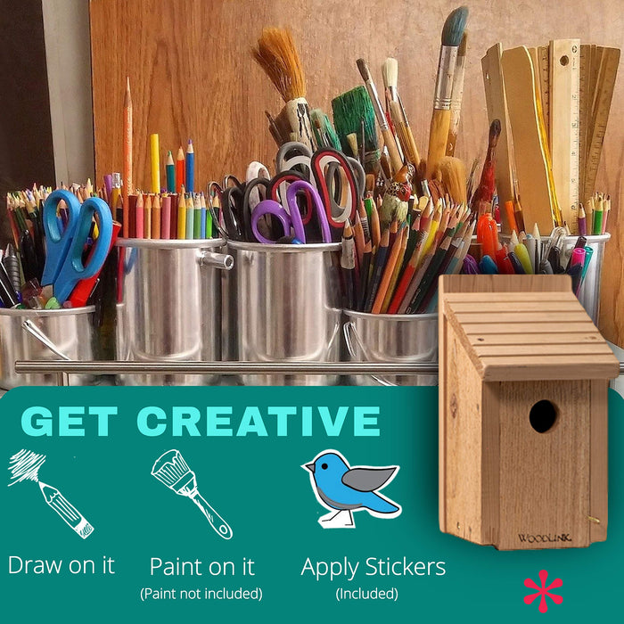 AUDUBON DIY CRAFT KIT BLUEBIRD HOUSE