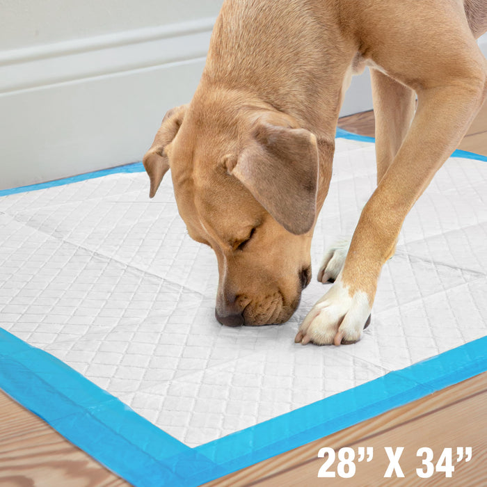 WEE-WEE PADS WITH BARRIER EDGE XL