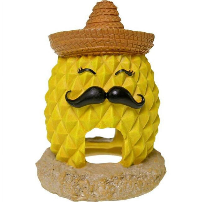 EXOTIC ENVIRONMENTS  PINEAPPLE SOMBRERO
