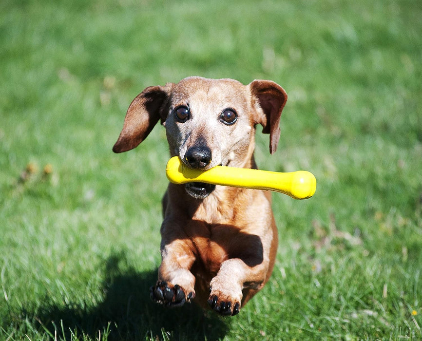 JOLLY PETS FLEX-N-CHEW BONE