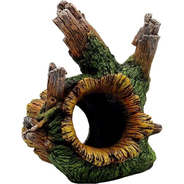 EXOTIC ENVIRONMENTS  TREE ROOT TUNNEL