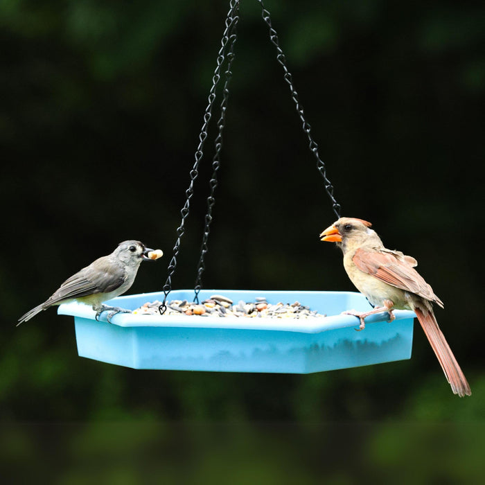 ECOCYCLE COMBO CAFE 2-N-1 BIRD FEEDER & BIRD BATH