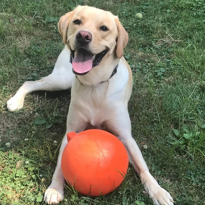 JOLLY PETS TUG-N-TOSS BALL