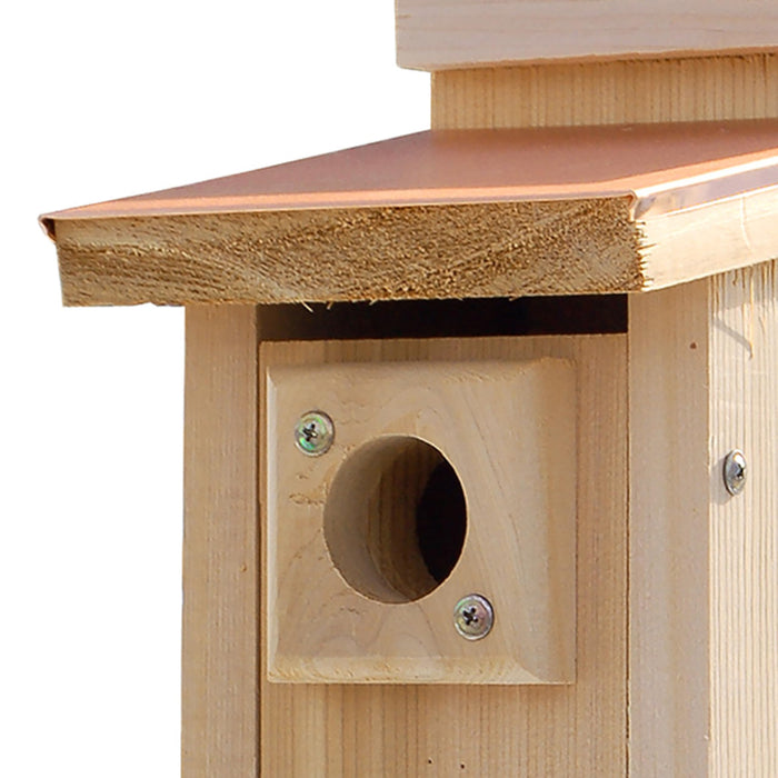AUDUBON COPPERTOP CEDAR BLUEBIRD HOUSE