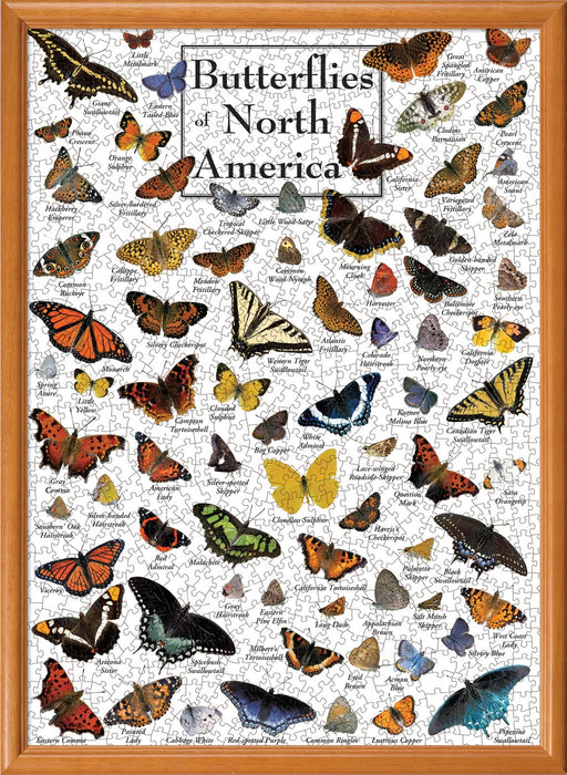 MasterPieces Puzzles Butterflies of North America 1000 Piece Puzzle