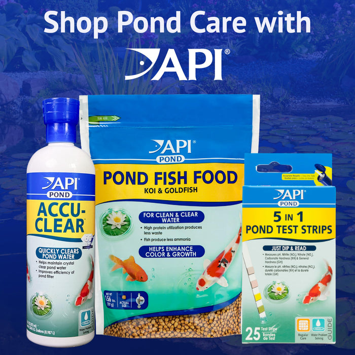 API POND ALGAEFIX