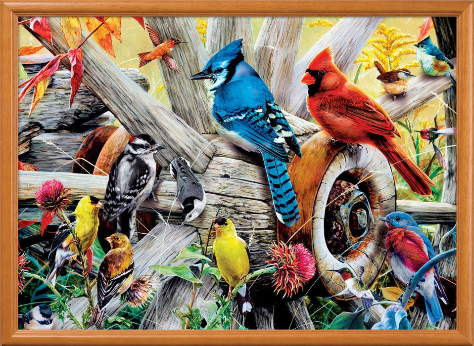 MasterPieces Puzzles Audubon Backyard Birds 1000 Piece Puzzle