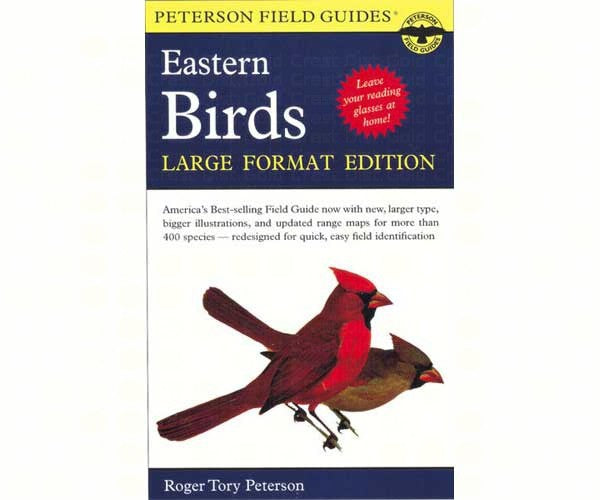 Eastern Birds Large Format Edition
