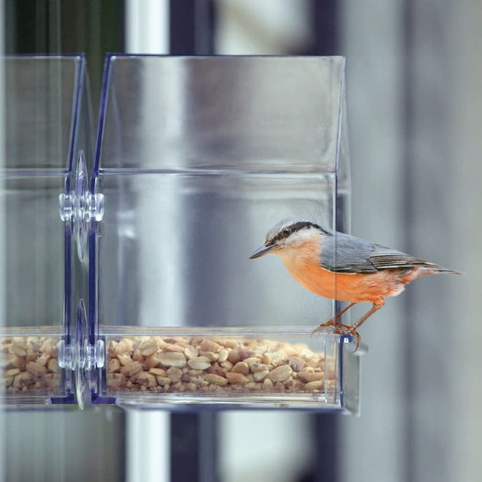 Clear Window Feeder