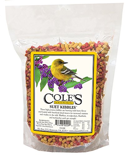 COLES WILD BIRD PRODUCTS INC Wild Bird Food, Berry Suet Kibbles, Small SKSU