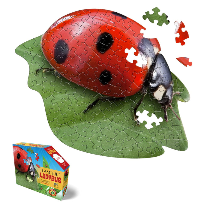 I AM LIL' LADYBUG Puzzle 100 p