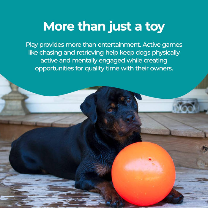 JOLLY PETS BOUNCE-N-PLAY BALL