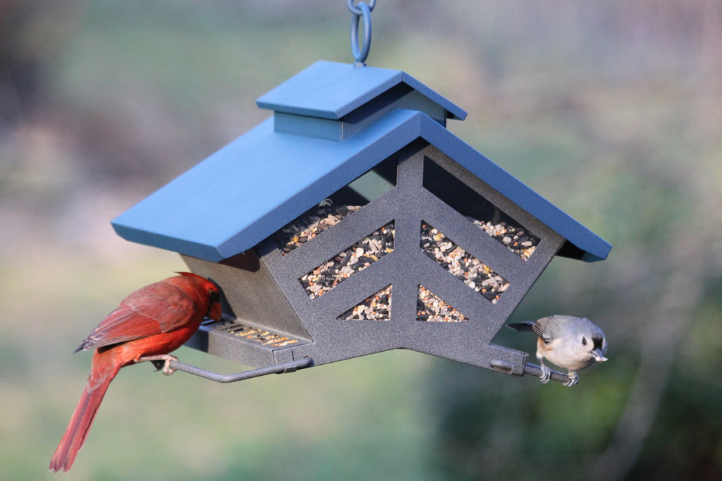 AUDUBON CHALET WILD BIRD FEEDER