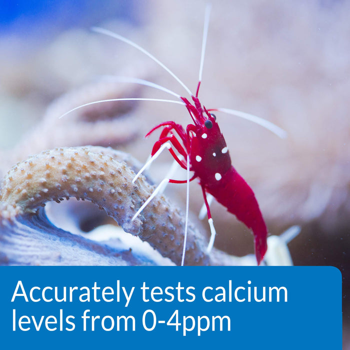 API SALTWATER CALCIUM TEST KIT