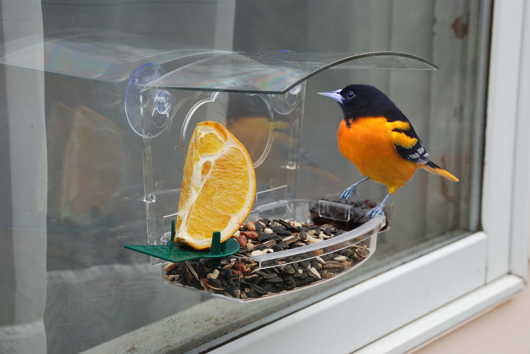 AUDUBON MIXED TREAT PLASTIC WINDOW FEEDER