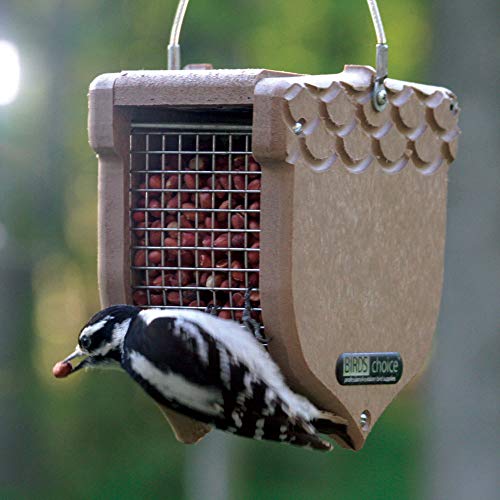 Birds Choice ACORN Peanut Feeder, Acord-Shaped Bird Feeder, 1 Quart, Taupe