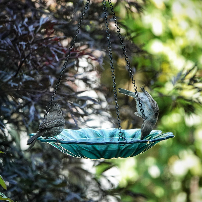 ECOCYCLE TURQUOISE DAHLIA HANGING BIRD BATH/FEEDER