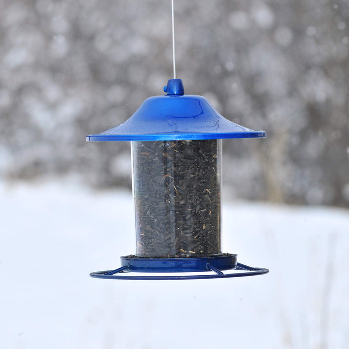 Blue Sparkle Panorama Feeder