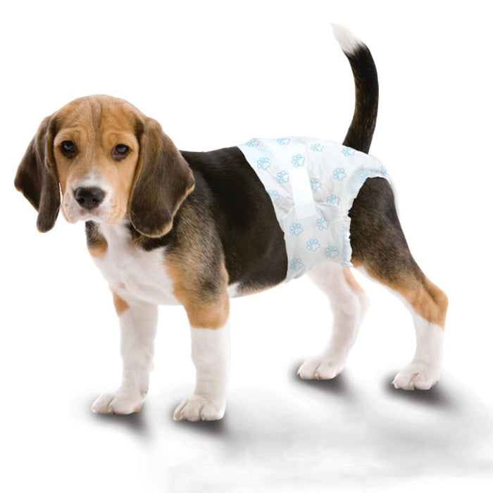 WEE-WEE DISPOSABLE DIAPERS