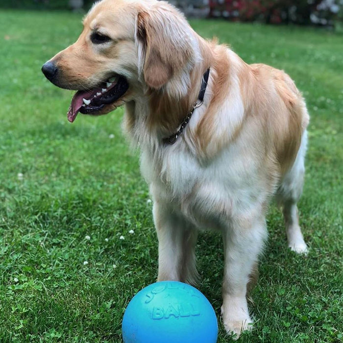 JOLLY PETS BOUNCE-N-PLAY BALL