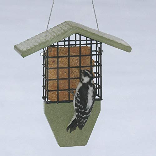 Birds Choice GSTP Tail Prop Suet Feeder, Recycled Hanging Suet Bird Feeder, 1 Suet Cake Capacity, Green