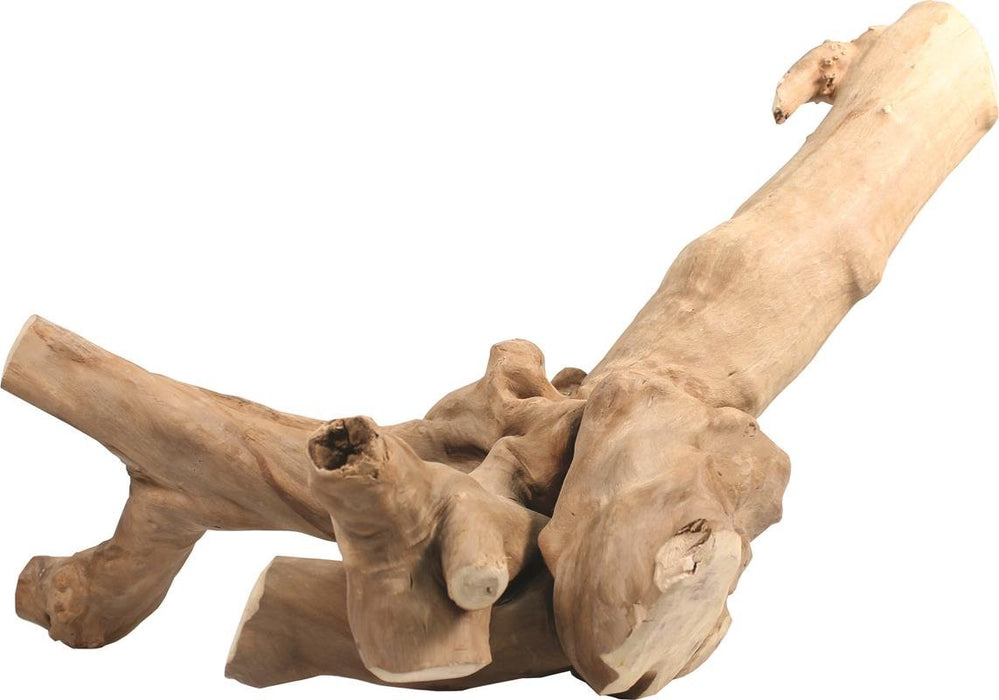 JAVA WOOD REPTILE BRANCH