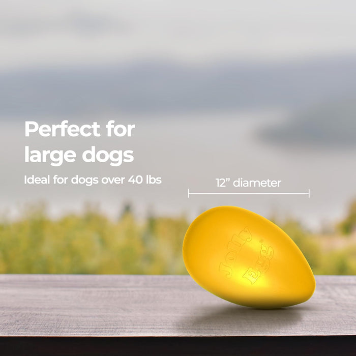 JOLLY PETS EGG