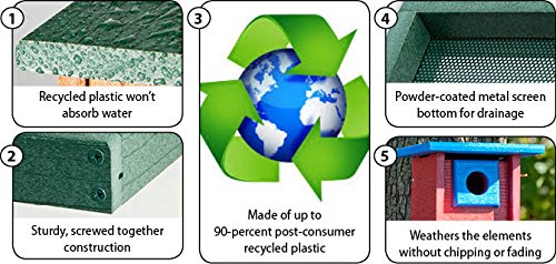 AUDUBON GOING GREEN PLATFORM FEEDER