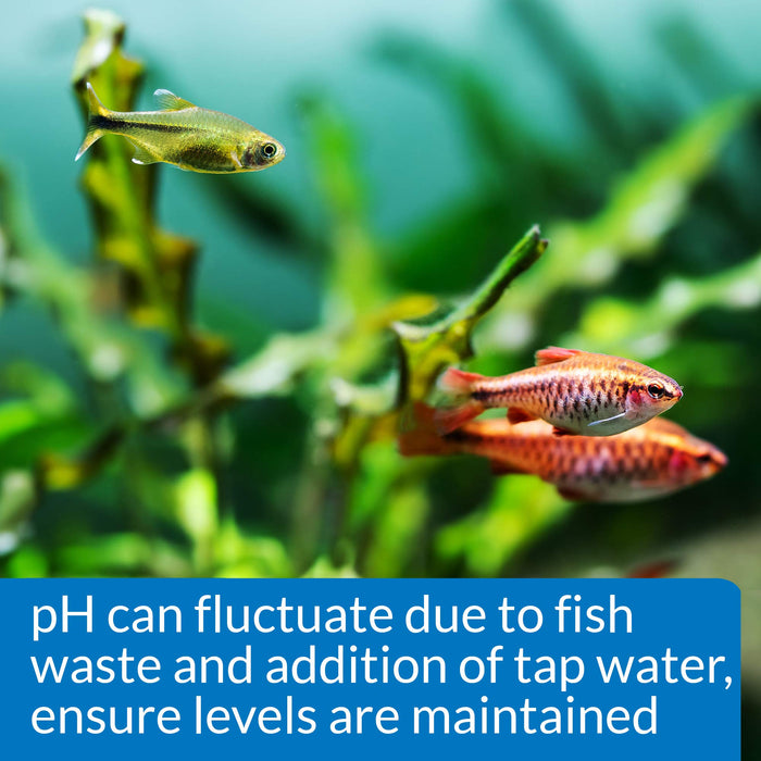API PH TEST KIT FOR FRESHWATER