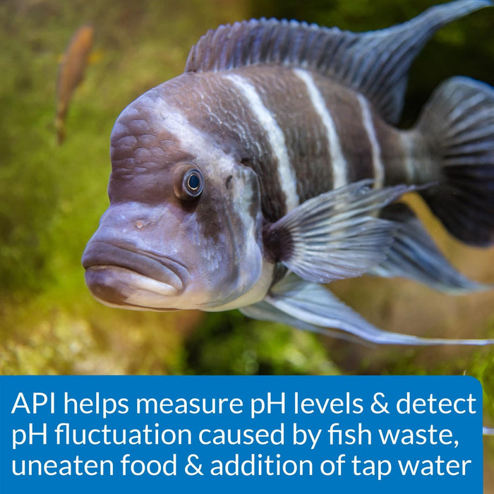 API HIGH RANGE PH TEST KIT FOR FRESH & SALTWATER
