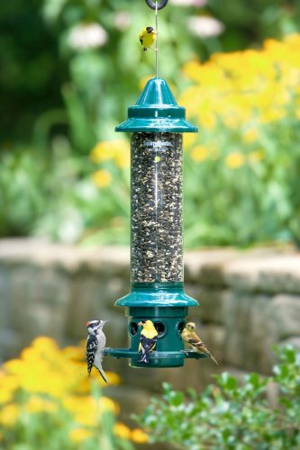 Brome Squirrel Buster Plus Squirrel-proof Bird Feeder w/Cardinal Ring and 6 Feeding Ports, 5.1-pound Seed Capacity, Adjustable, Pole-mountable (POLE ADAPTOR SOLD SEPARATELY), Green