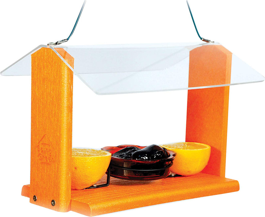 Audubon Going Green Oriole & Bluebird
