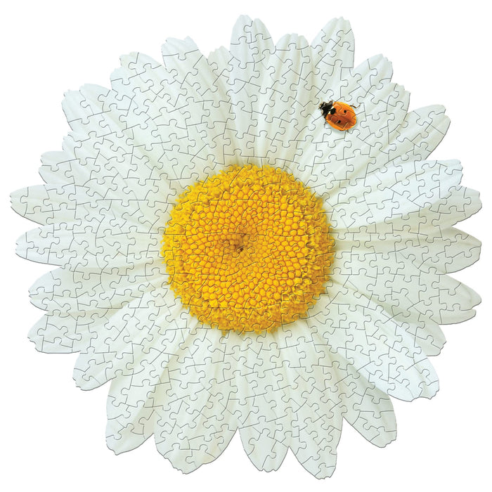 I AM DAISY Puzzle 350 pcs