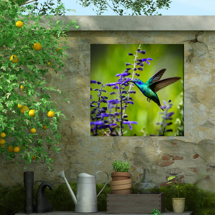 Hummingbird #7 by West of the Wind | Waterproof Outdoor Wall Art