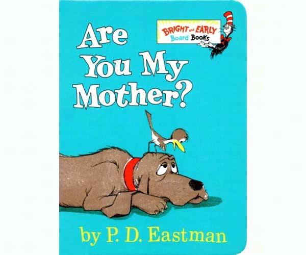 Are You My Mother Board Book