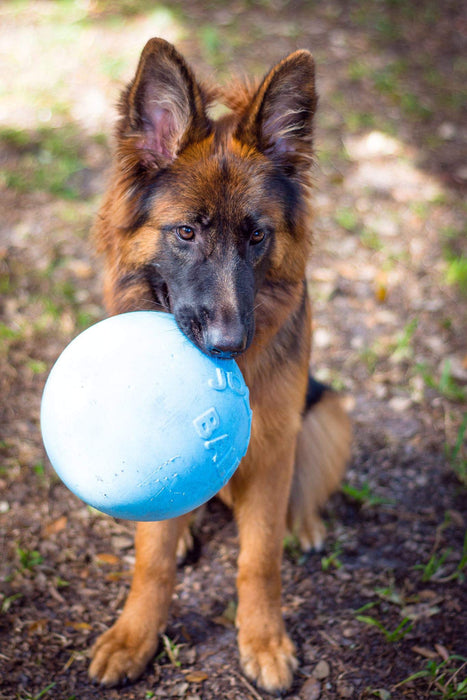 JOLLY PETS BOUNCE-N-PLAY BALL