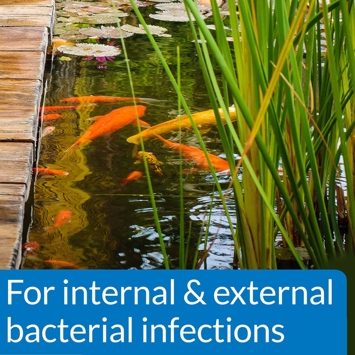 API POND PIMAFIX ANTIFUNGAL REMEDY